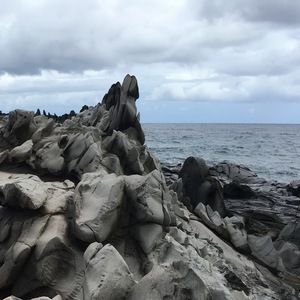 Meet your Posher, Benjamin